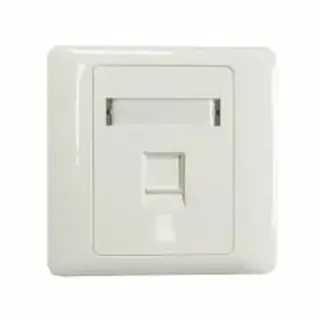 SINGLE FACEPLATE